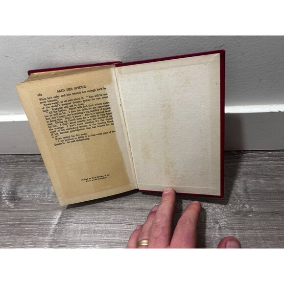 Said The Spider Book By Mary Marlowe Published By Literary Press Hardcover - Picture 4 of 5